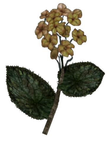 File:Gold Kanet MW.png