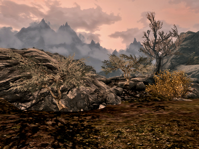 File:Reach juniper shrubs2.png