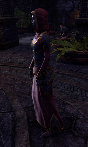 File:Acolyte Vuri.png