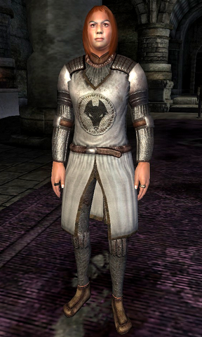 File:Kvatch Cuirass Hero.png