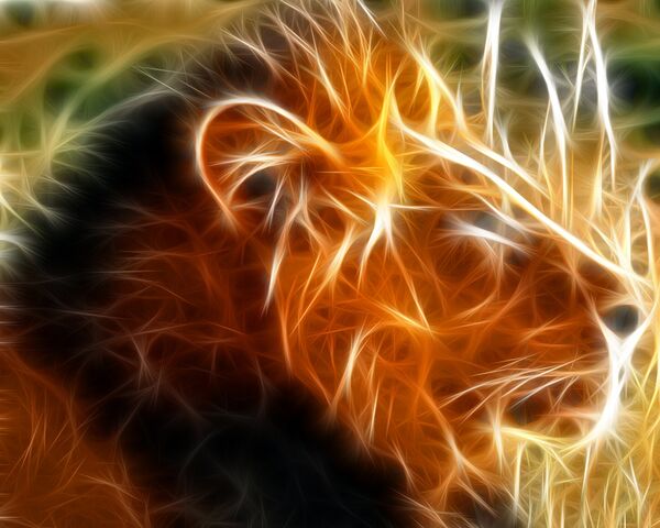 File:Lion.jpg