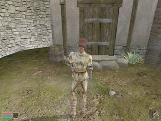 Morrowind123-Courtyard 640x480