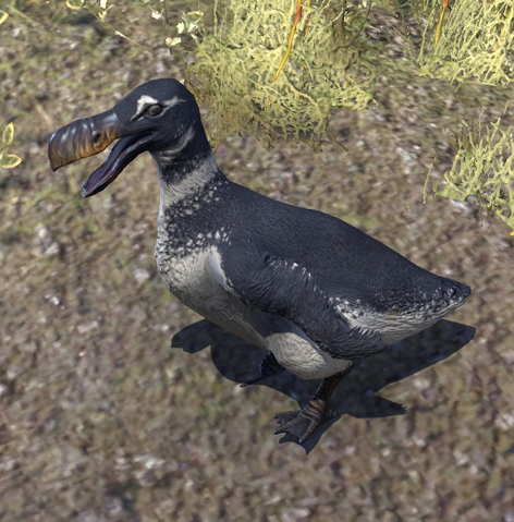 File:Chub Loon.png