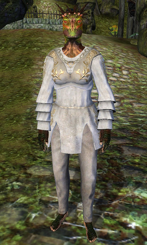 File:Runs-In-Circles (Shivering Isles).png