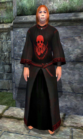 File:King of Worms' Robes.png