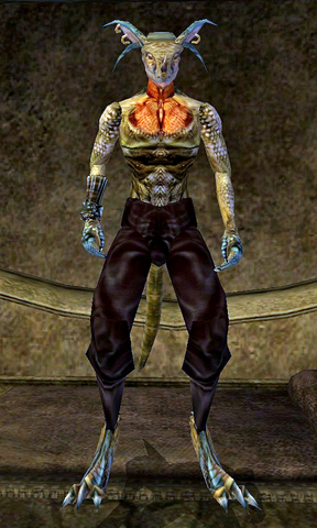 File:Seewul.png