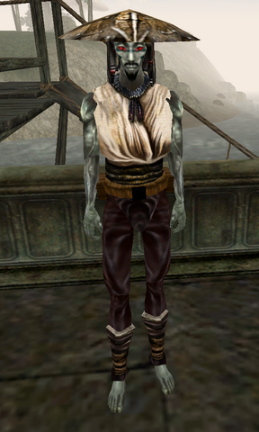 File:Fendryn Delvi.png