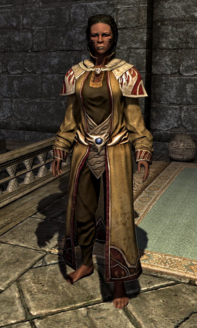 File:Psiijic Robes 00065B94.png