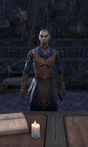 File:Instructor Llaarar.png
