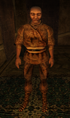 File:Astius Hanotepelus.png