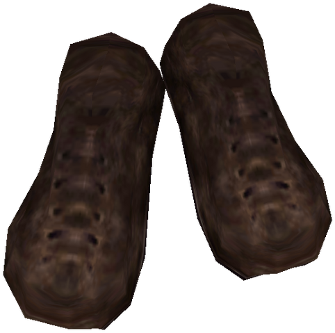 File:CommonshoesBMNordic1.png
