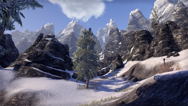 File:Skyrim (Online).png