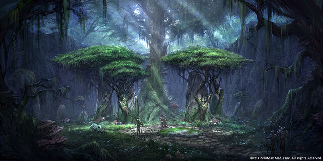 File:TES-O Concept Valenwood 1.jpeg