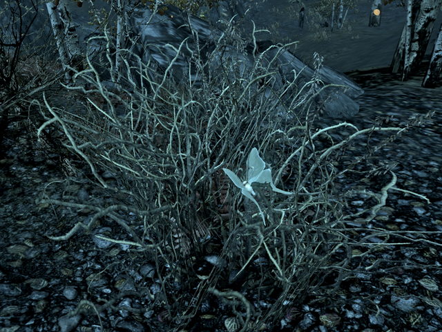 File:Luna moth habitat.png