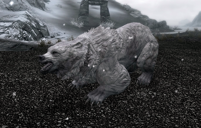 File:Snow Bear (Skyrim).png