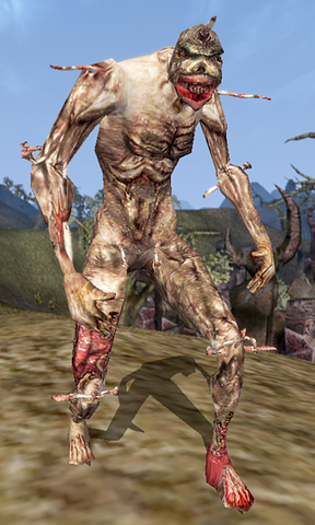 File:Bonewalker - Morrowind.png