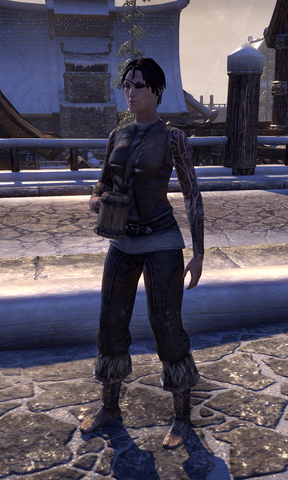 File:Lis Two-Sleeves.png