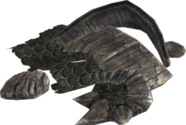 File:TESV Dragon Scales.png