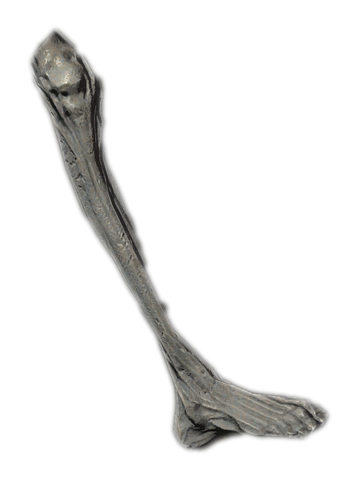 File:Ancient Vampire Leg.png