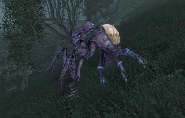 File:Elytra Dementia.png