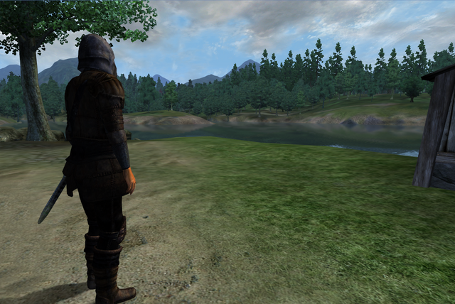 File:Gray Fox 1.png