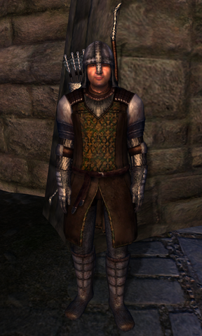 File:TESIV Guard Cheydinhal 1.png