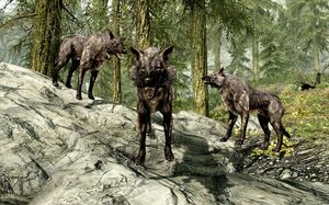830px-3wolves.jpg