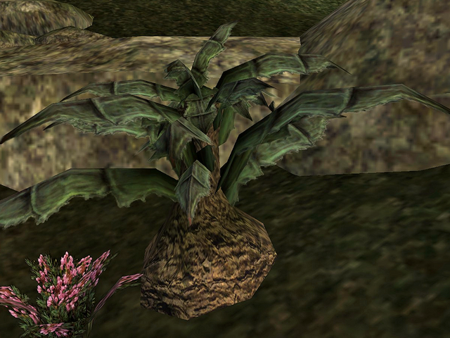 File:Corkbulb.png