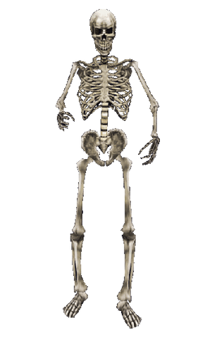 File:Skeleton MW.png