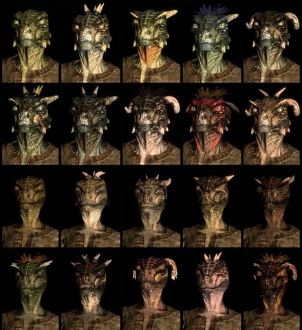 File:ArgonianCompilation.jpg