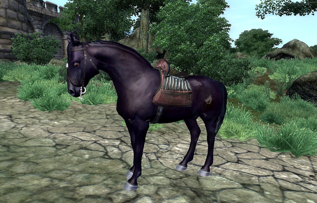 File:Black Horse.png