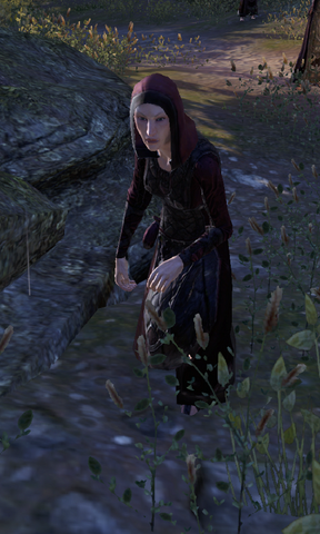 File:Sister Barbara.png