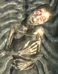 250px-NightMother Skyrim.png