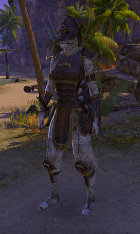 File:Baan Dar's Rogue.png