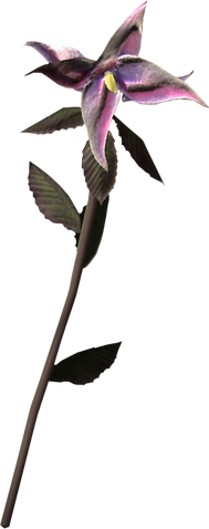 File:Nightshade.png
