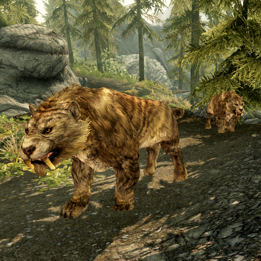 Image - 2sabrecats.png | Elder Scrolls | FANDOM powered by Wikia Image - 2sabrecats.png | Elder Scrolls | FANDOM powered by Wikia