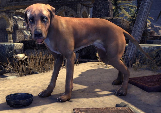 File:Alik'r Dune-Hound.png