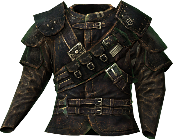 File:Guild master armor.png