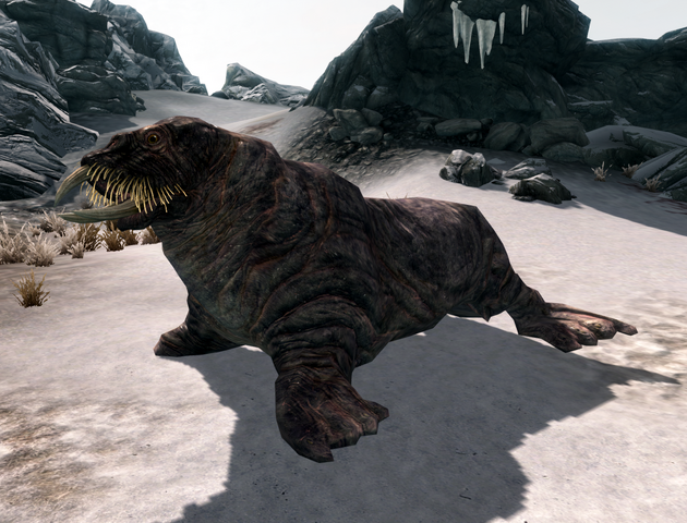 File:Lord Tusk.png