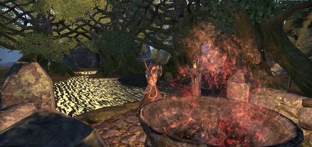 File:The flooded grove1.png