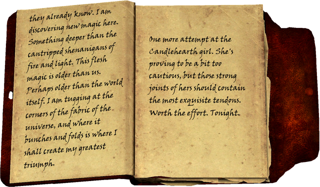 File:Butcher Journal 1 Page3-4.png