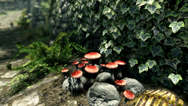 File:TESVSE Screenshot 3.png