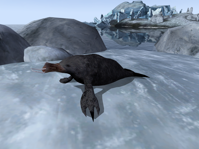 File:The Swimmer BM.png