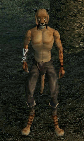 File:Baadargo.png