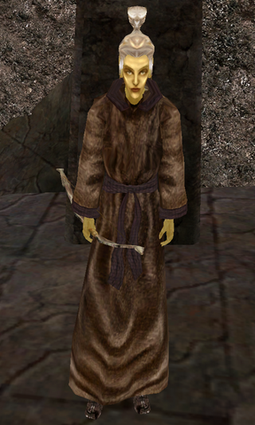 File:WorshiperF MW.png