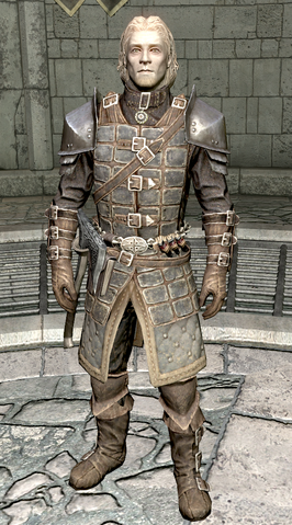 File:Agmaer Dawnguard Armor.png