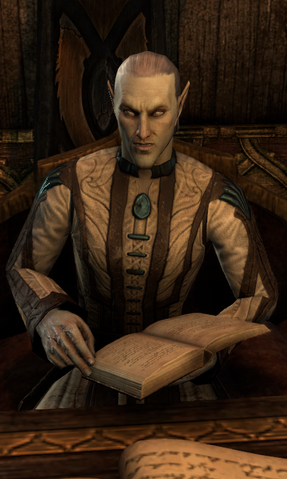 File:Clerk Aryaamo.png