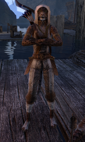 File:ESO Zulana Second Costume.png