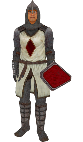 File:KnightsoftheNineArmor.png