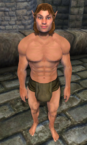 File:TESIV Test TakeCover2.png